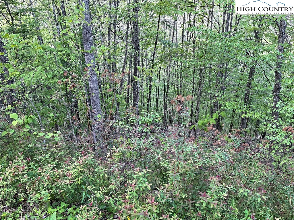 Tbd Lot #21 R Tbd Ridge Todd, NC 28684 - Photo 4 of 15