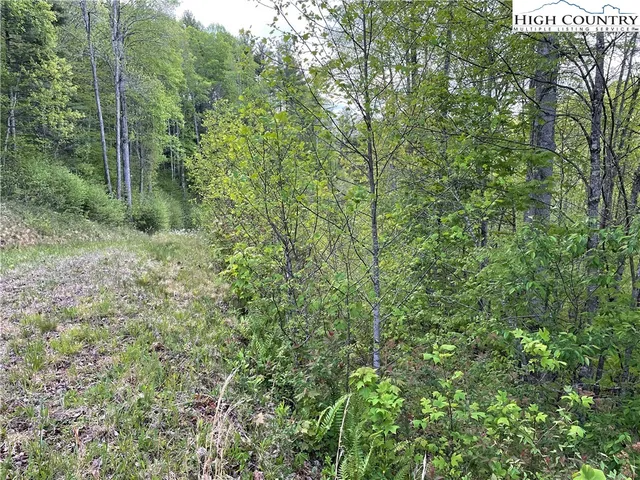 $47,900 | Tbd Lot #21 R Tbd Ridge, Todd, NC 28684