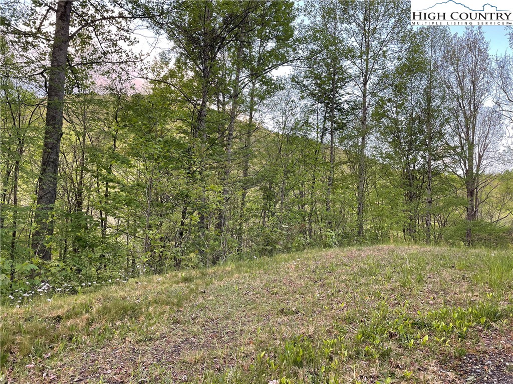 Tbd Lot #21 R Tbd Ridge Todd, NC 28684 - Photo 7 of 15