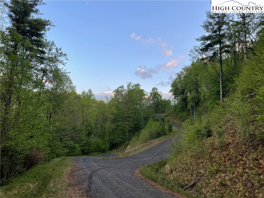 Tbd Lot #21 R Tbd Ridge Todd, NC 28684 - Photo 9 of 15