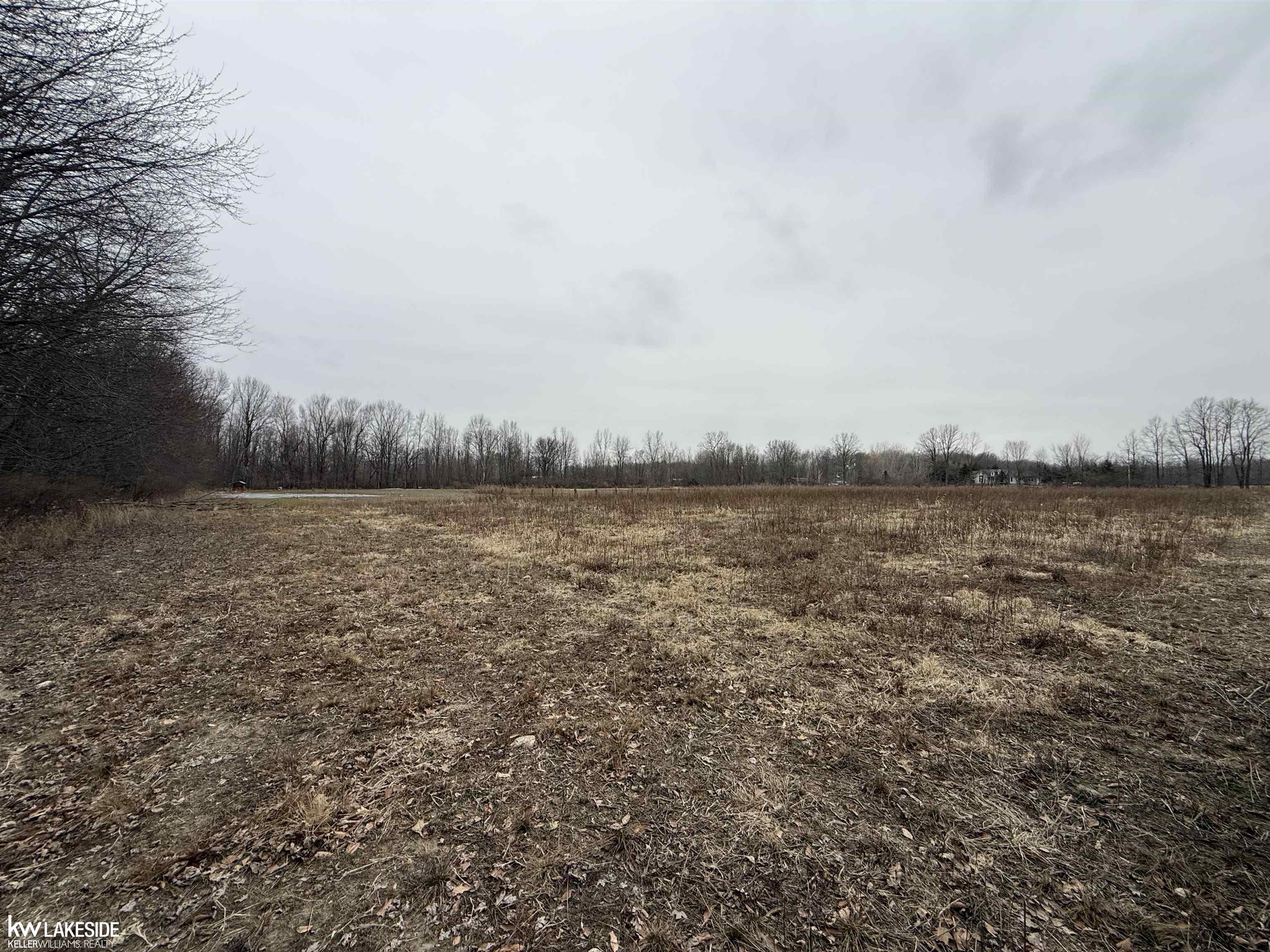 0 Cove Road Goodells, MI 48027 - Photo 13 of 25
