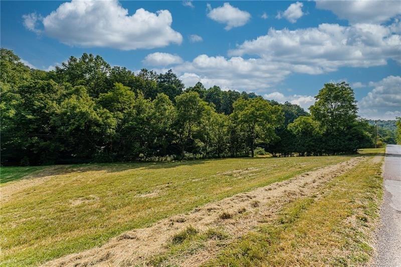 0 Toms Run Road Holbrook, PA 15352 - Photo 22 of 22 a view of a yard with a fountain