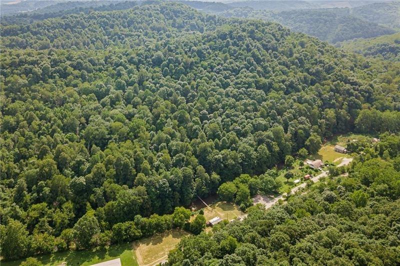 0 Toms Run Road Holbrook, PA 15352 - Photo 5 of 22 view of a forest with a houses