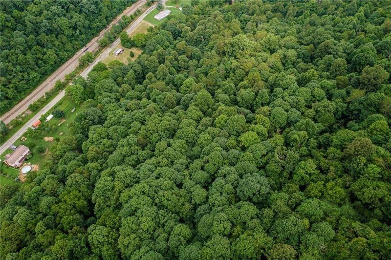0 Toms Run Road Holbrook, PA 15352 - Photo 6 of 22 a view of a forest that has a tree in the background