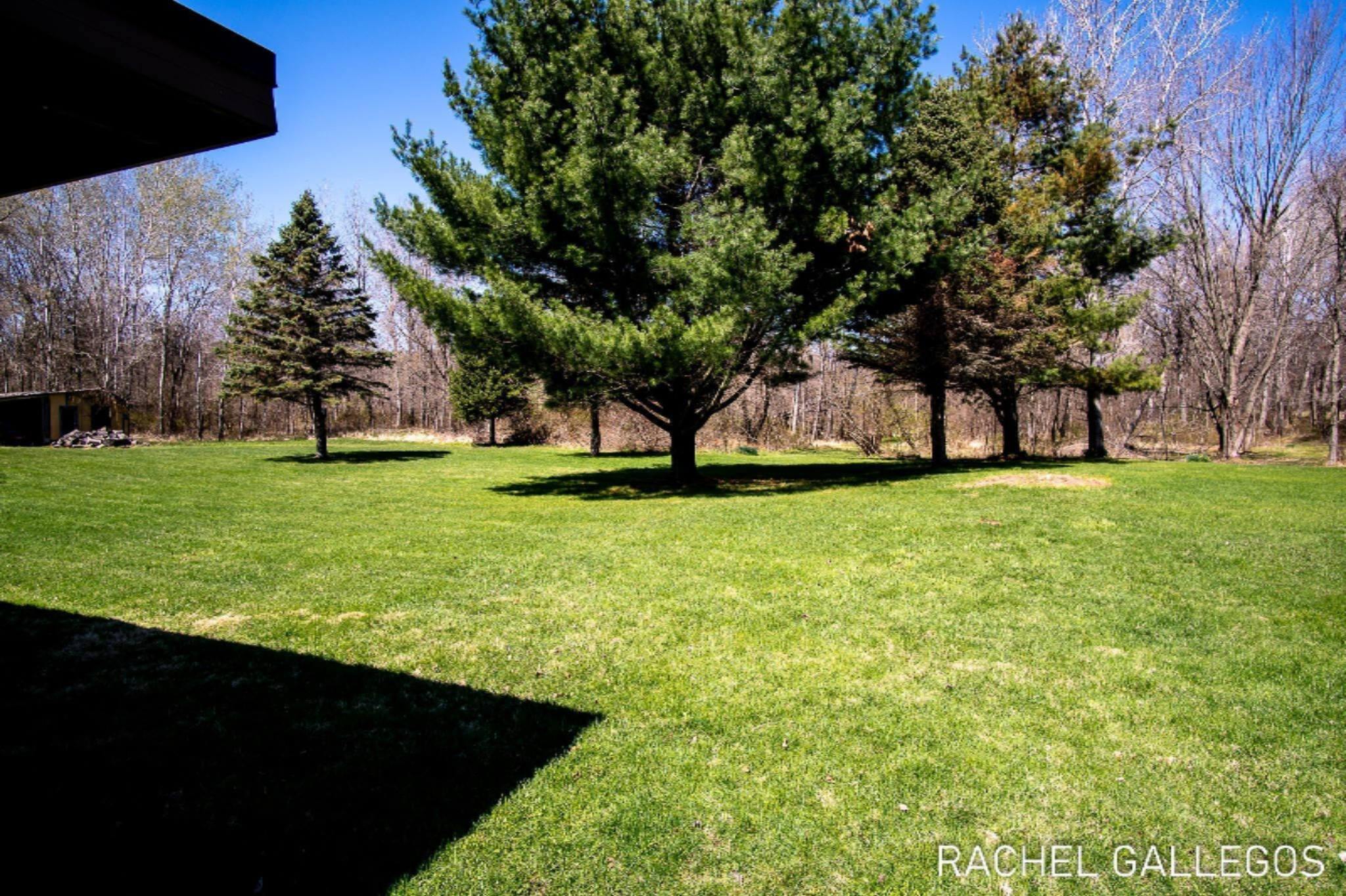 3592 East Manales Road Fountain, MI 49410 - Photo 24 of 33 3592 E Manales Rd, Fountain-7