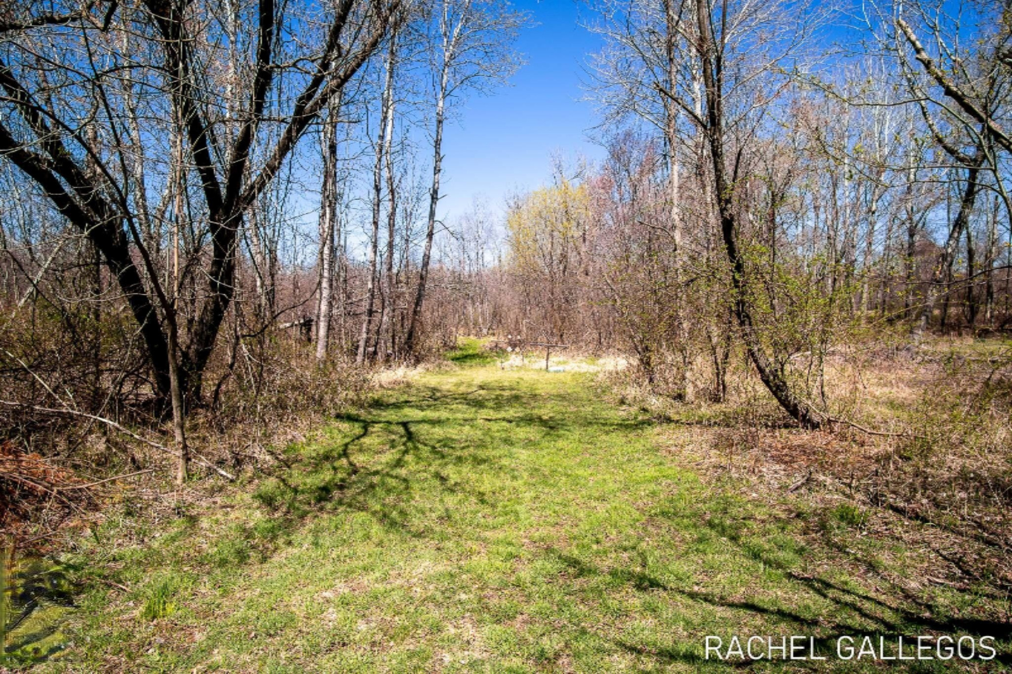 3592 East Manales Road Fountain, MI 49410 - Photo 26 of 33 3592 E Manales Rd, Fountain-9