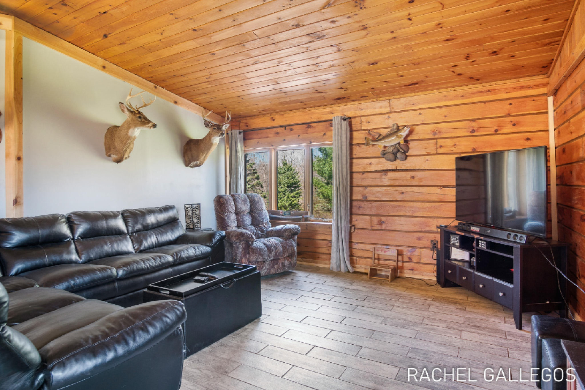 3592 East Manales Road Fountain, MI 49410 - Photo 6 of 33 3592 E Manales Rd, Fountain-21