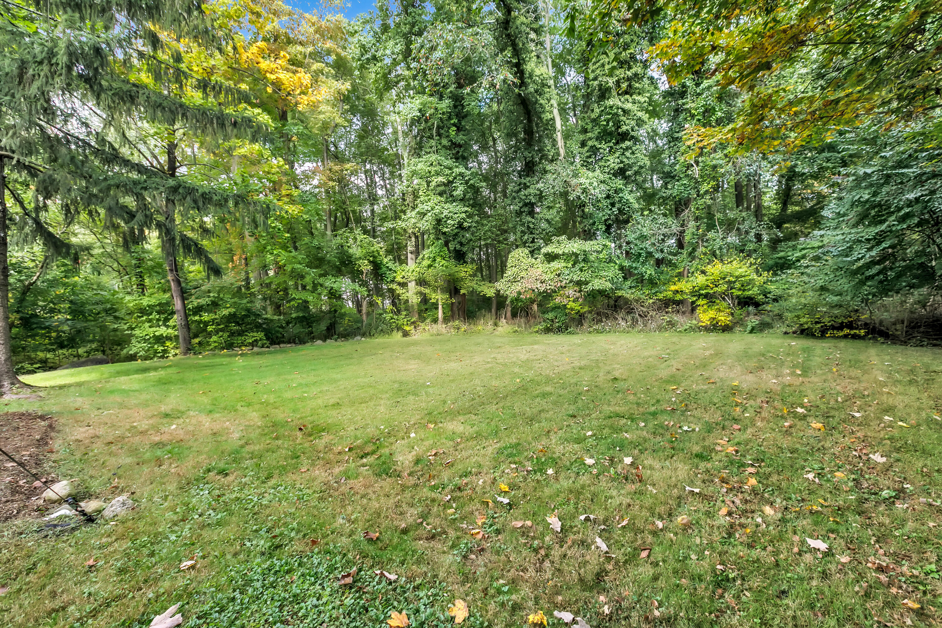 401 Jelliff Mill Road New Canaan, CT 06840 - Photo 21 of 21 a big yard with lots of green space and deers