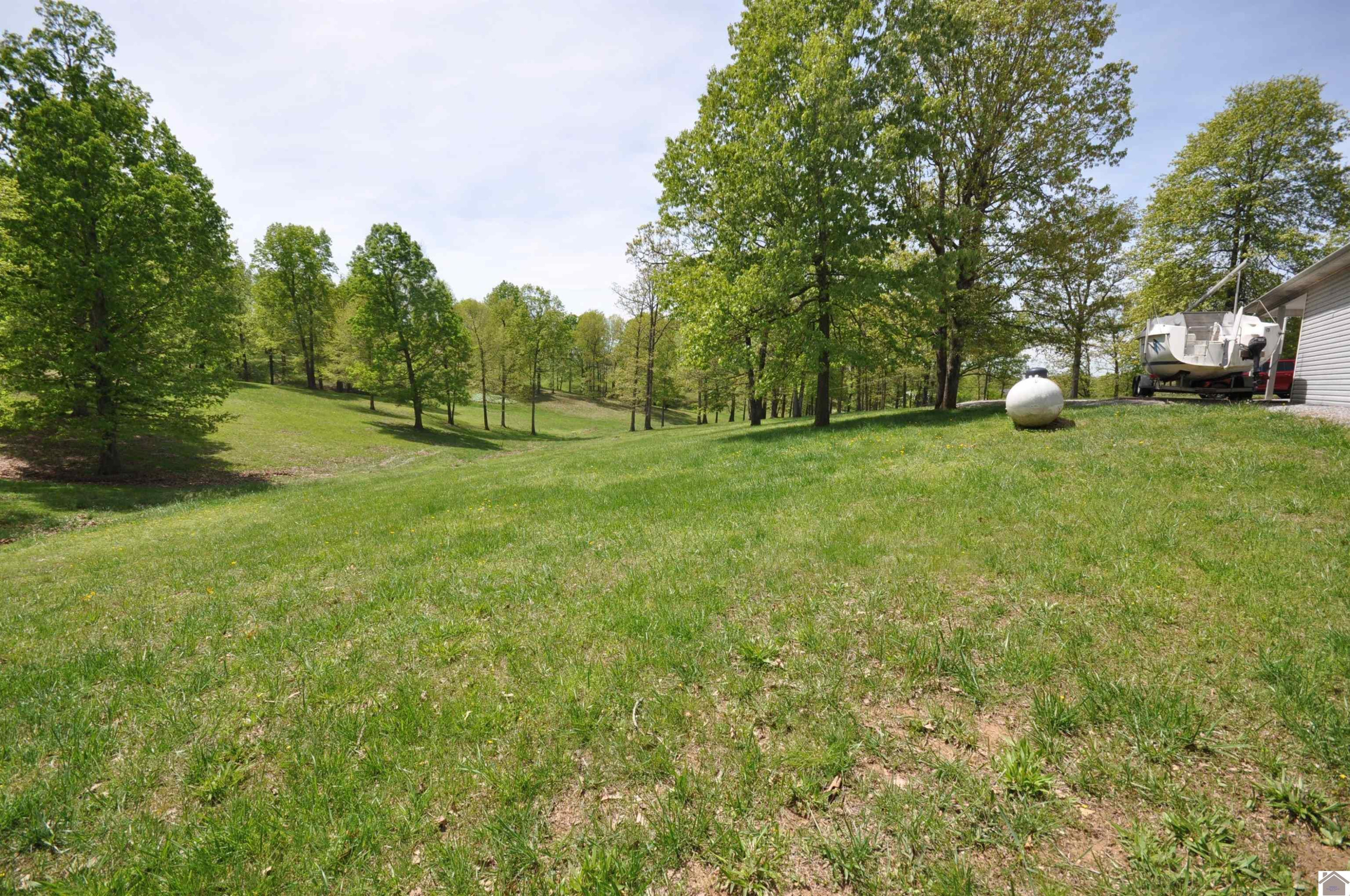 725 Pleasantview Drive Grand Rivers, KY 42045 - Photo 10 of 33 Photo 10