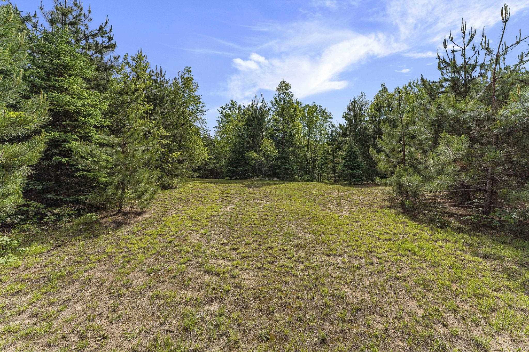 8767 Rustic Lane Southwest Fife Lake, MI 49633 - Photo 11 of 28