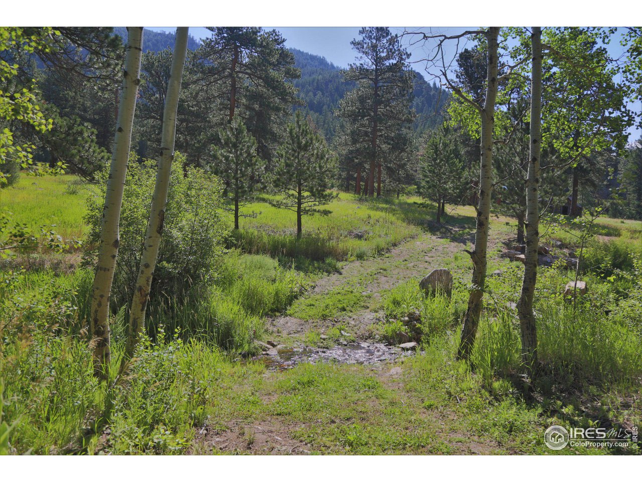 9648 Highway 36 Lyons, CO 80540 - Photo 14 of 31 a view of a house with a yard