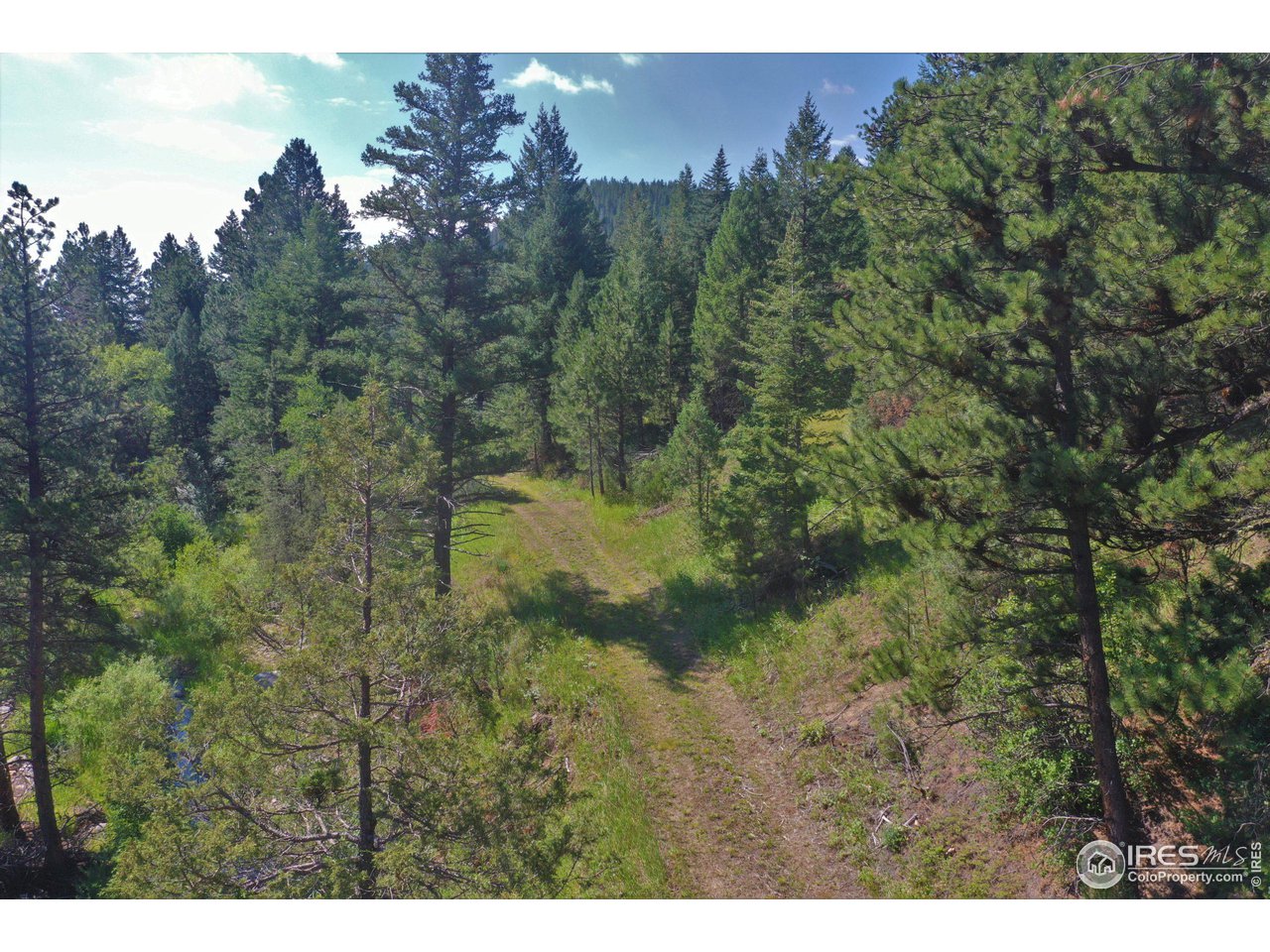 9648 Highway 36 Lyons, CO 80540 - Photo 15 of 31 a view of a yard