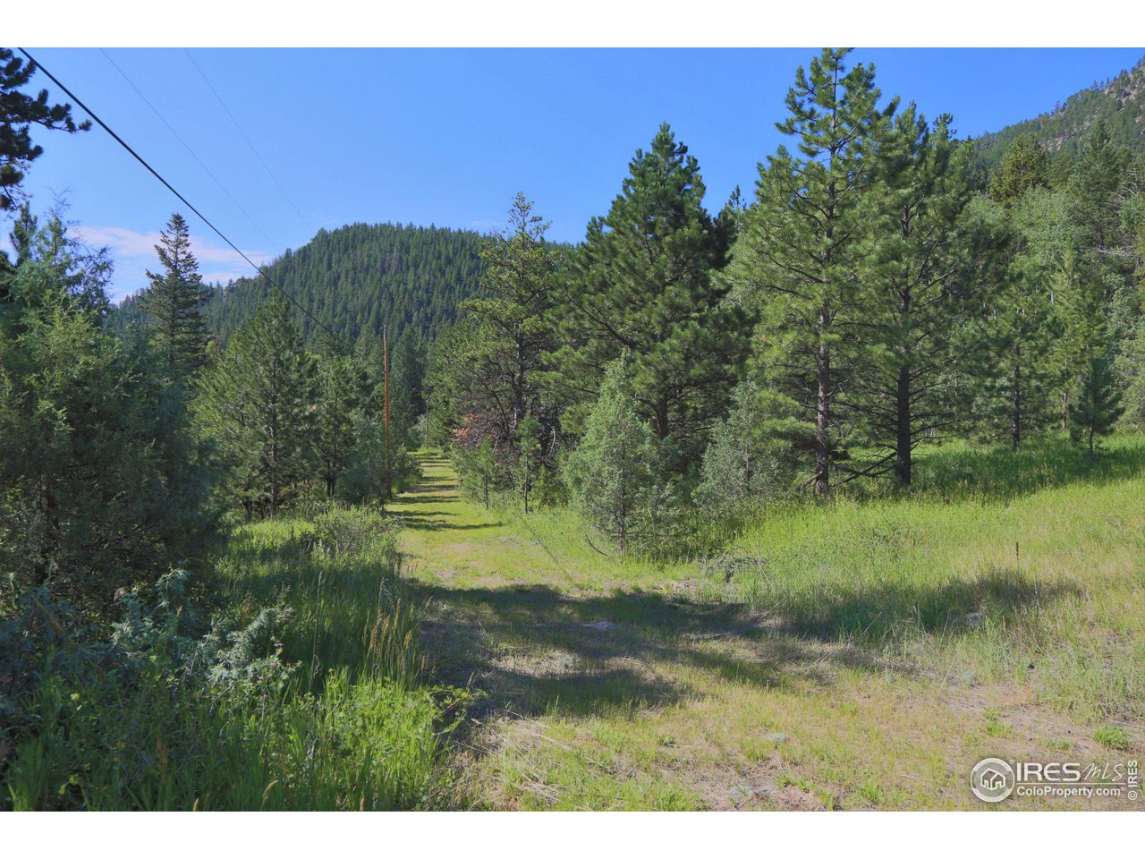 9648 Highway 36 Lyons, CO 80540 - Photo 16 of 31 a view of outdoor space and yard