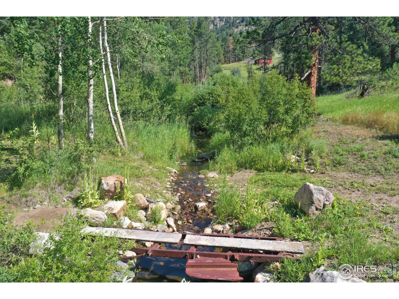 9648 Highway 36 Lyons, CO 80540 - Photo 21 of 31 a view of a yard with plants