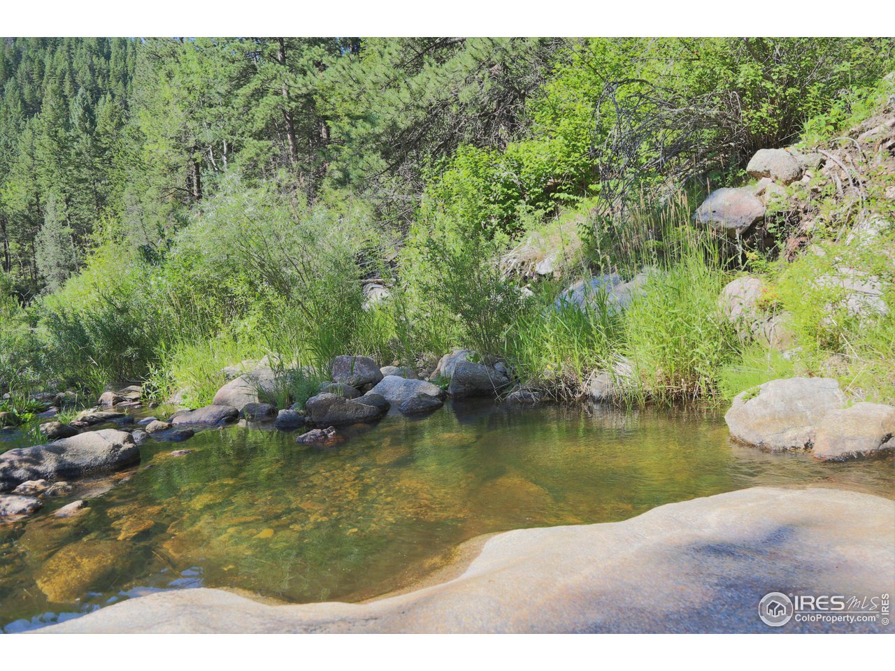 9648 Highway 36 Lyons, CO 80540 - Photo 27 of 31 a view of a lake with lawn chairs and large trees