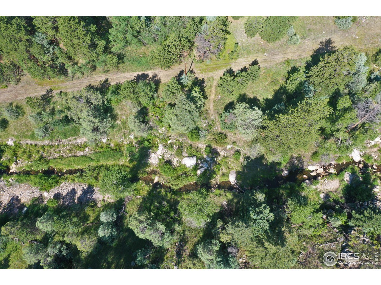 9648 Highway 36 Lyons, CO 80540 - Photo 3 of 31 a view of a lush green forest with houses
