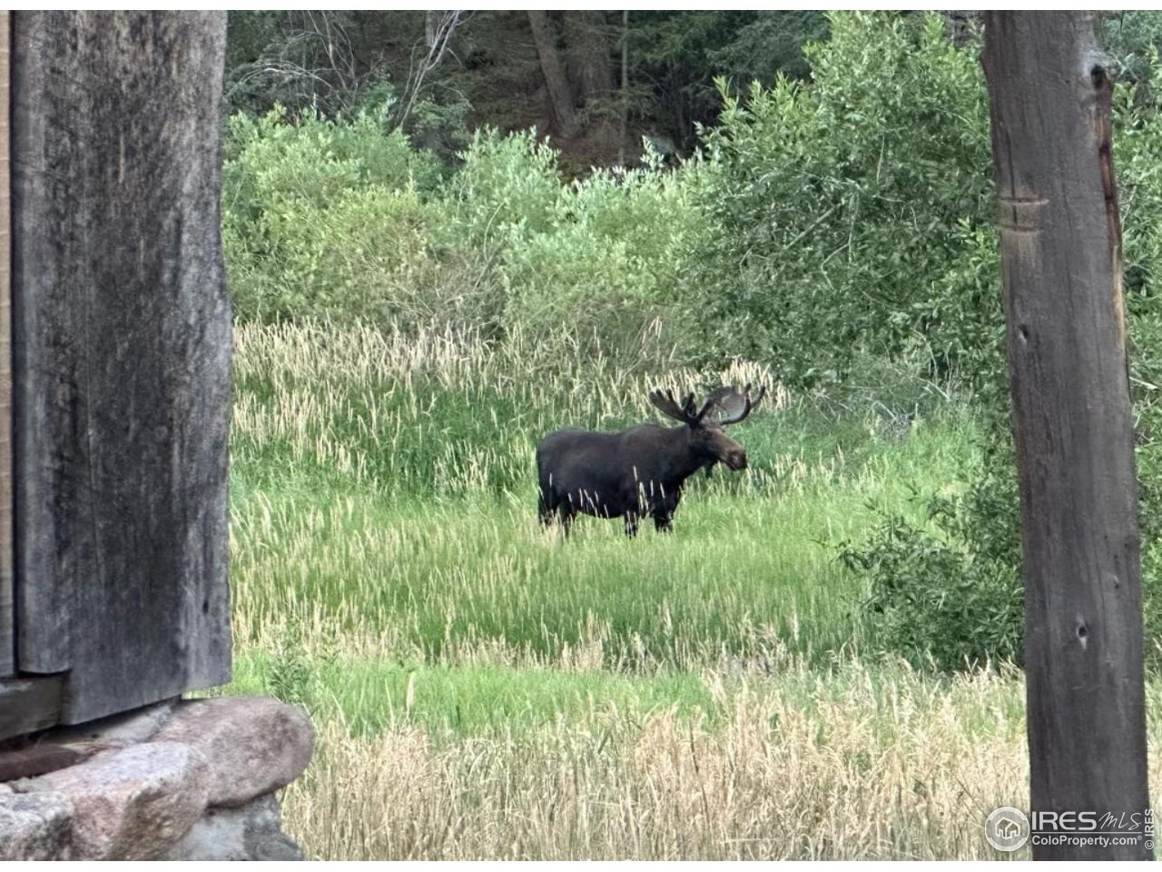 9648 Highway 36 Lyons, CO 80540 - Photo 5 of 31 a view of a garden