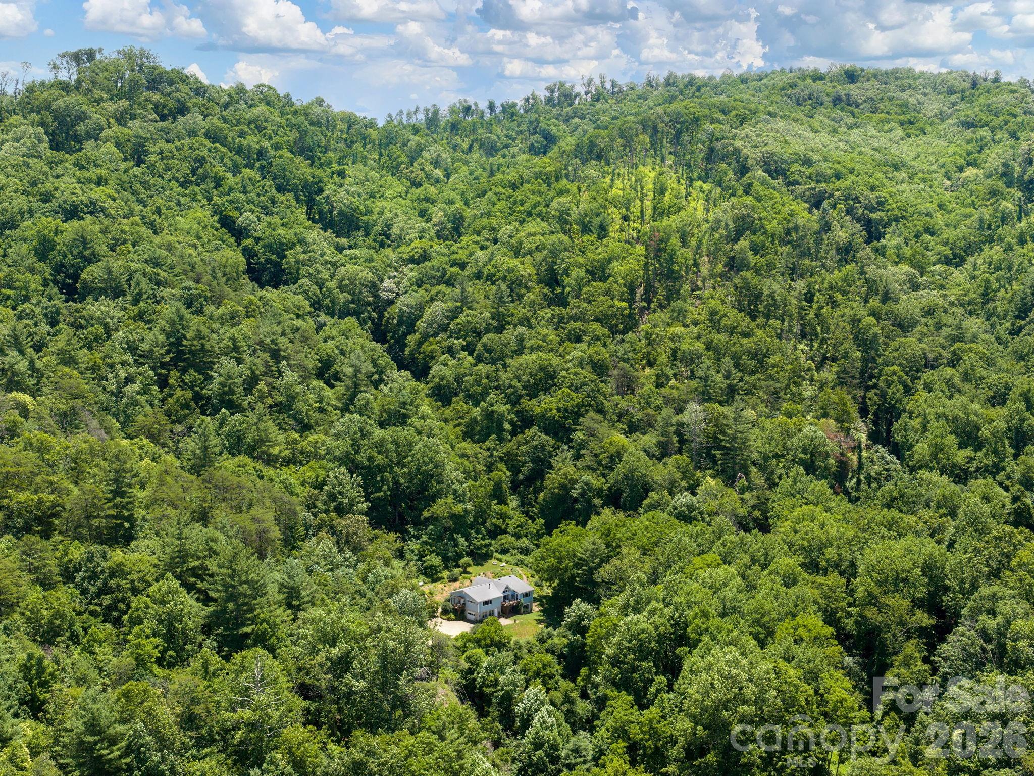 46 Perennial Ridge Weaverville, NC 28787 - Photo 40 of 44