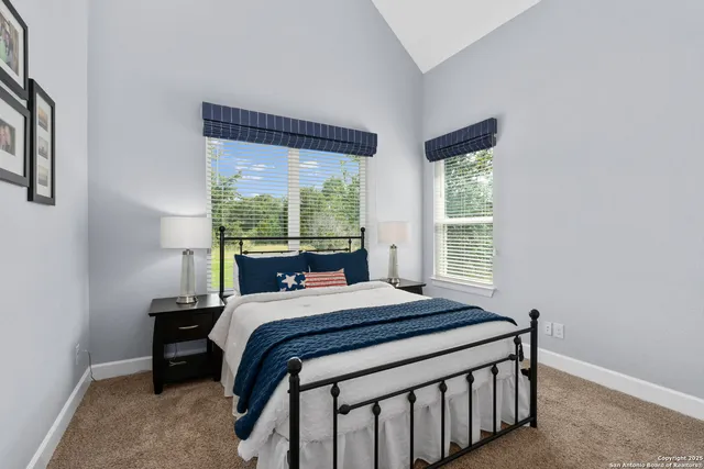 a living room with furniture a rug and a potted plant