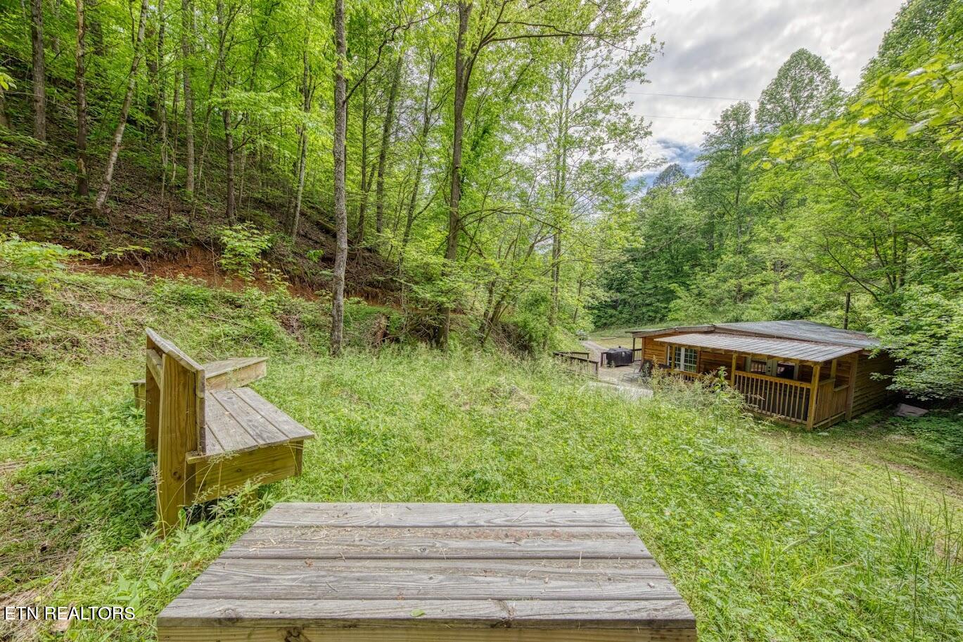 2029 Mountain Spring Way Sevierville, TN 37876 - Photo 16 of 21 fire pit area