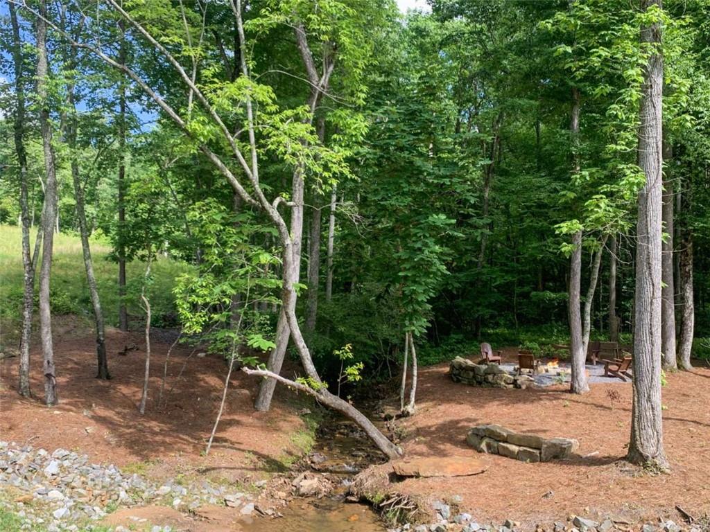 411 Calloway Mountain Road Talking Rock, GA 30175 - Photo 12 of 13 a backyard of a house with lots of green space