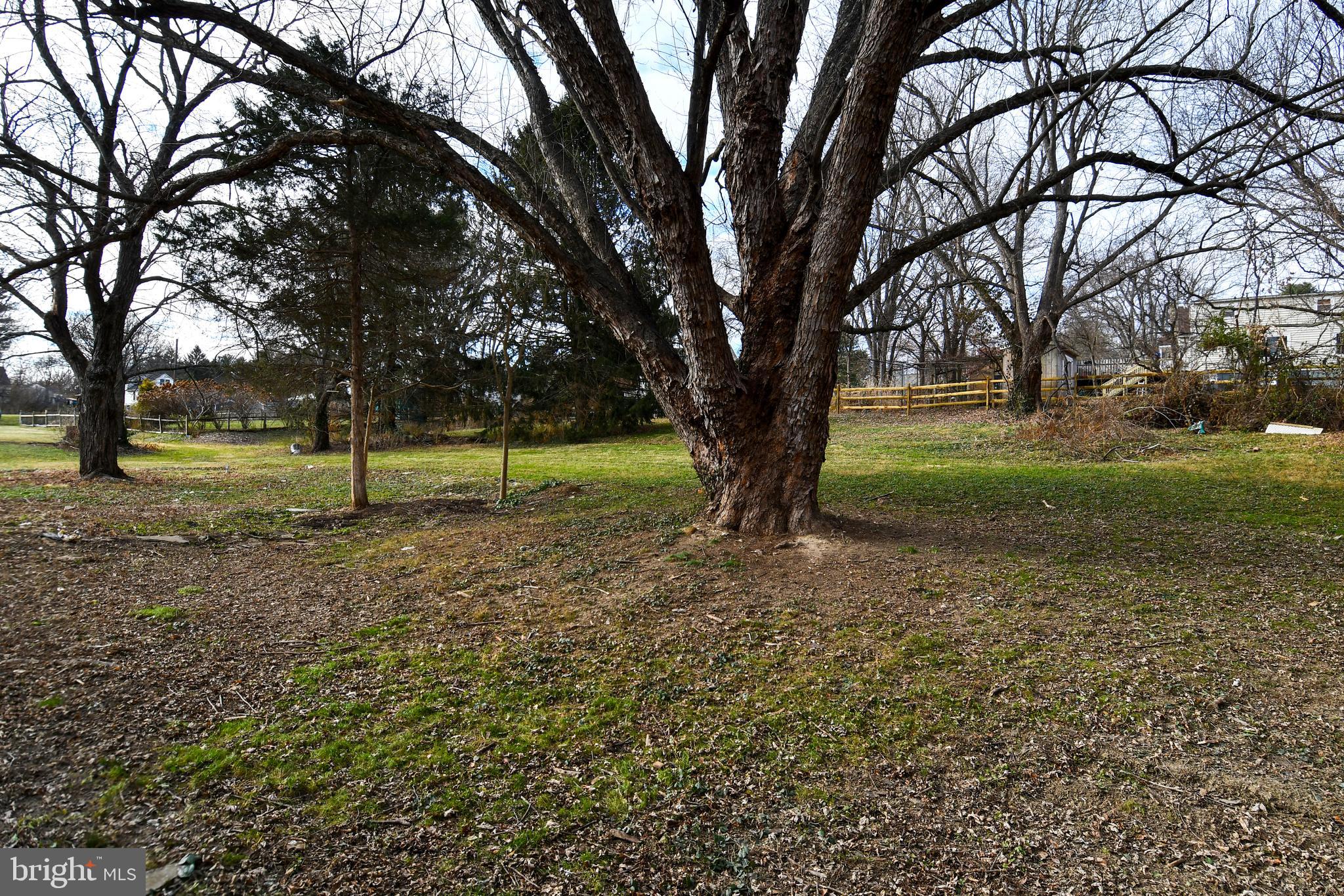 26904 Overlook Street Damascus, MD 20872 - Photo 54 of 54 a view of outdoor space with trees