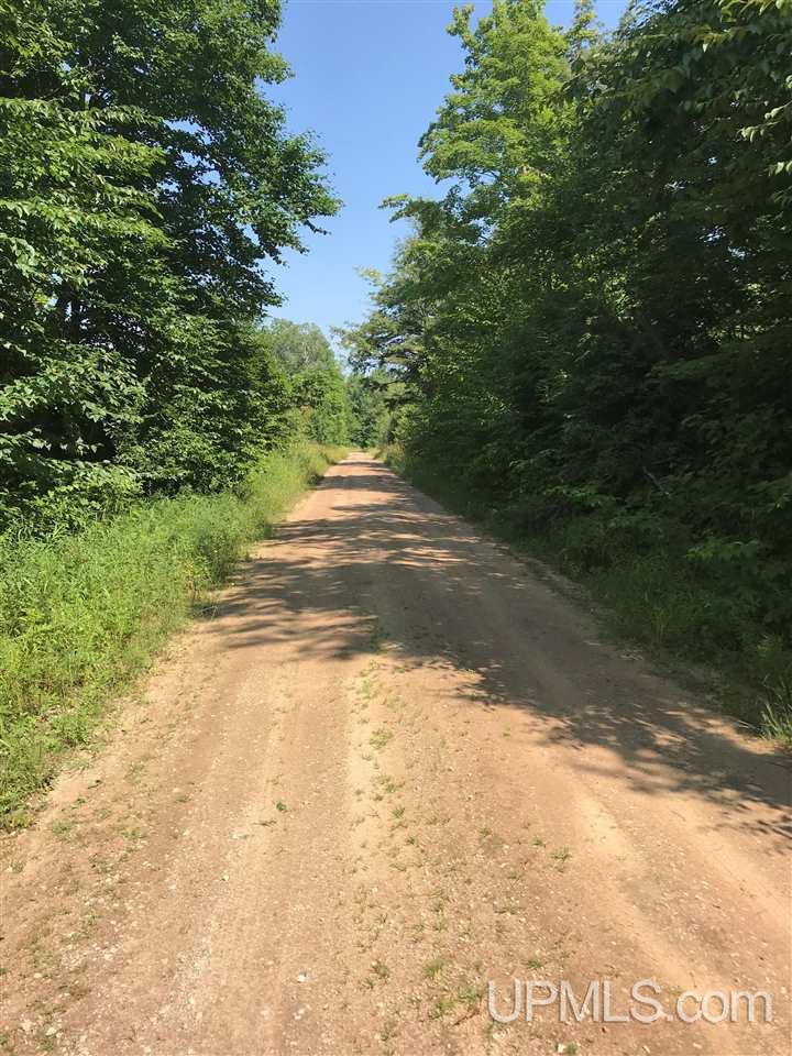 Tbd Blue Road, Unit 211 Pelkie, MI 49958 - Photo 4 of 9