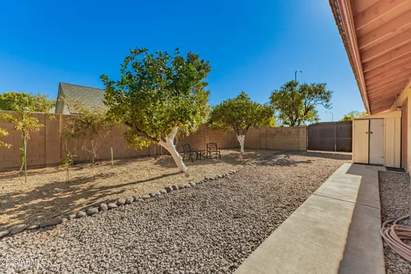 a view of a yard with a tree