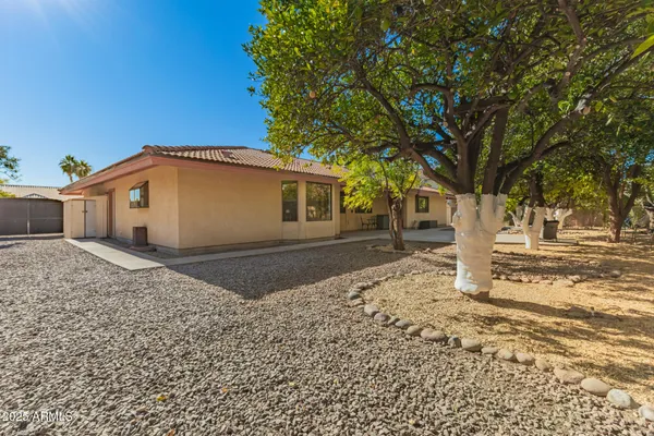 a view of road with large trees