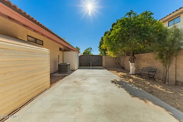 a view of a yard with plants and trees