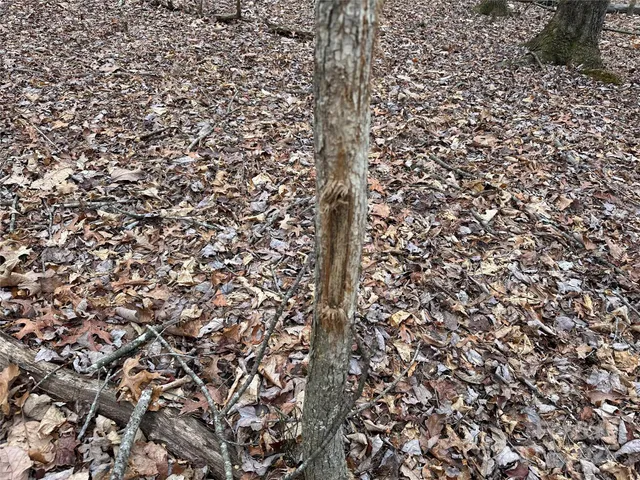 $114,900 | 0 Austin Traphill Road, Unit B, Elkin, NC 28621