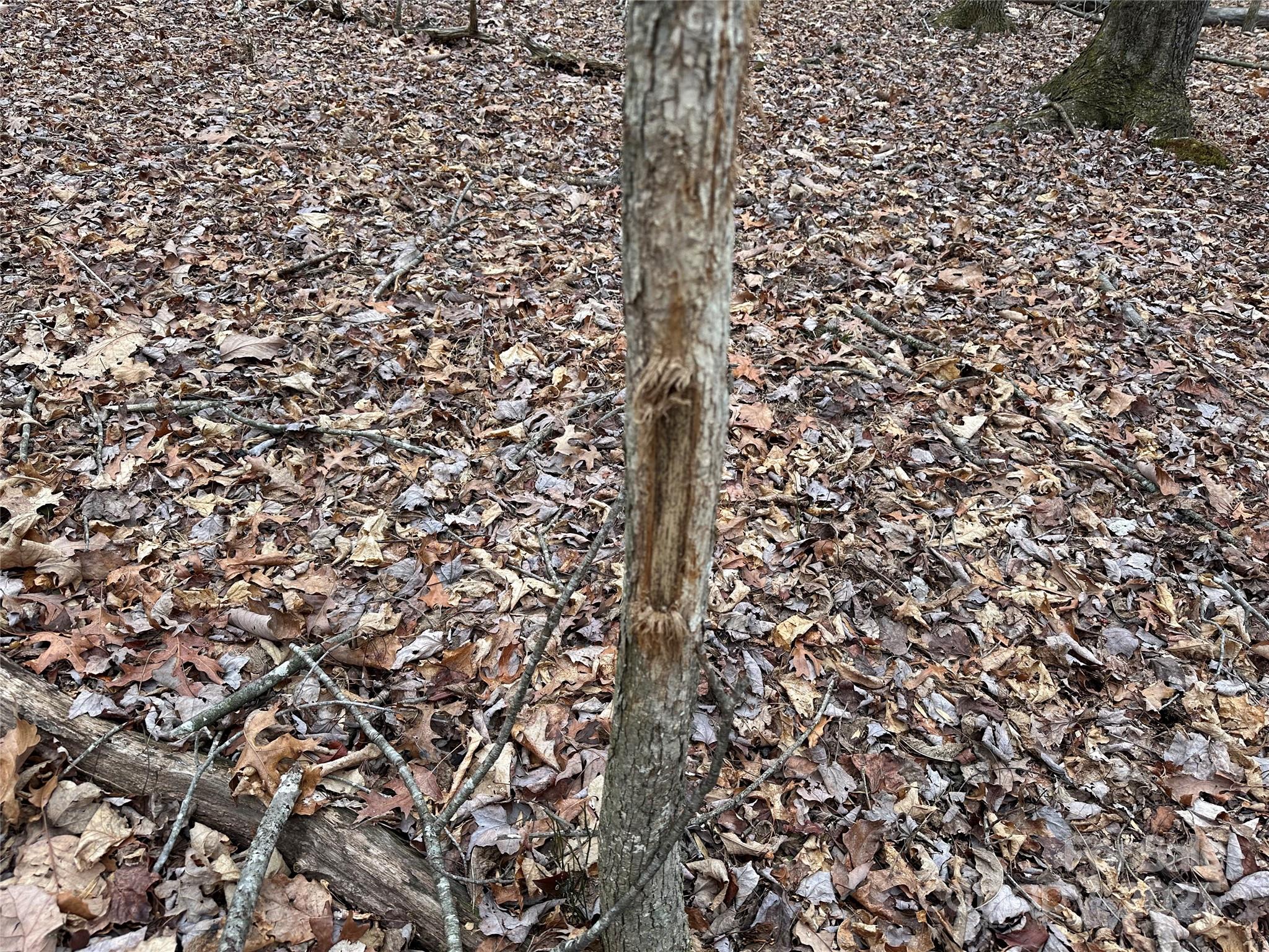 0 Austin Traphill Road, Unit B Elkin, NC 28621 - Photo 13 of 17