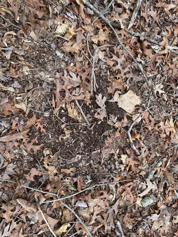 $114,900 | 0 Austin Traphill Road, Unit B, Elkin, NC 28621