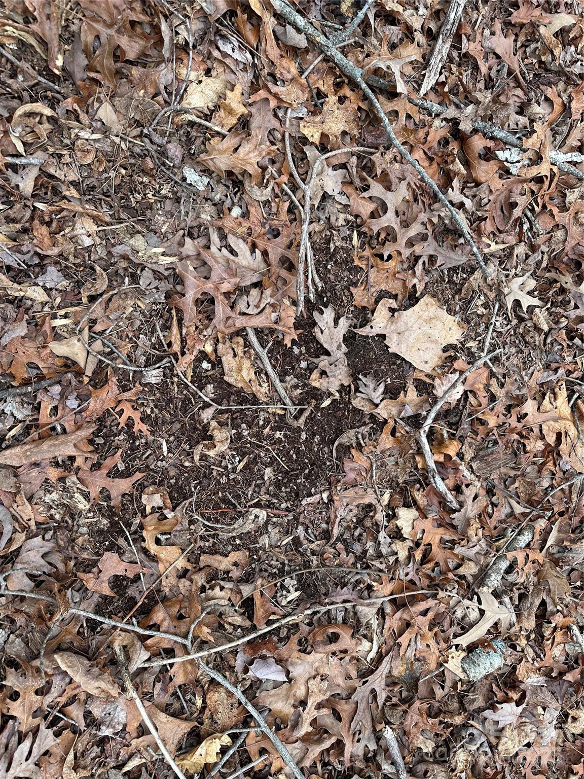 0 Austin Traphill Road, Unit B Elkin, NC 28621 - Photo 14 of 17