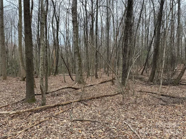 $114,900 | 0 Austin Traphill Road, Unit B, Elkin, NC 28621