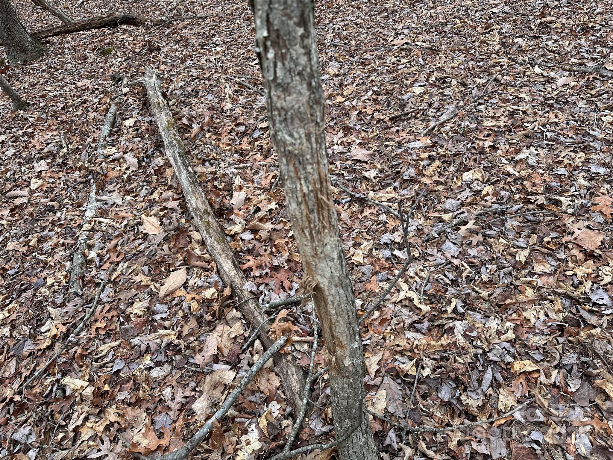 0 Austin Traphill Road, Unit B Elkin, NC 28621 - Photo 16 of 17