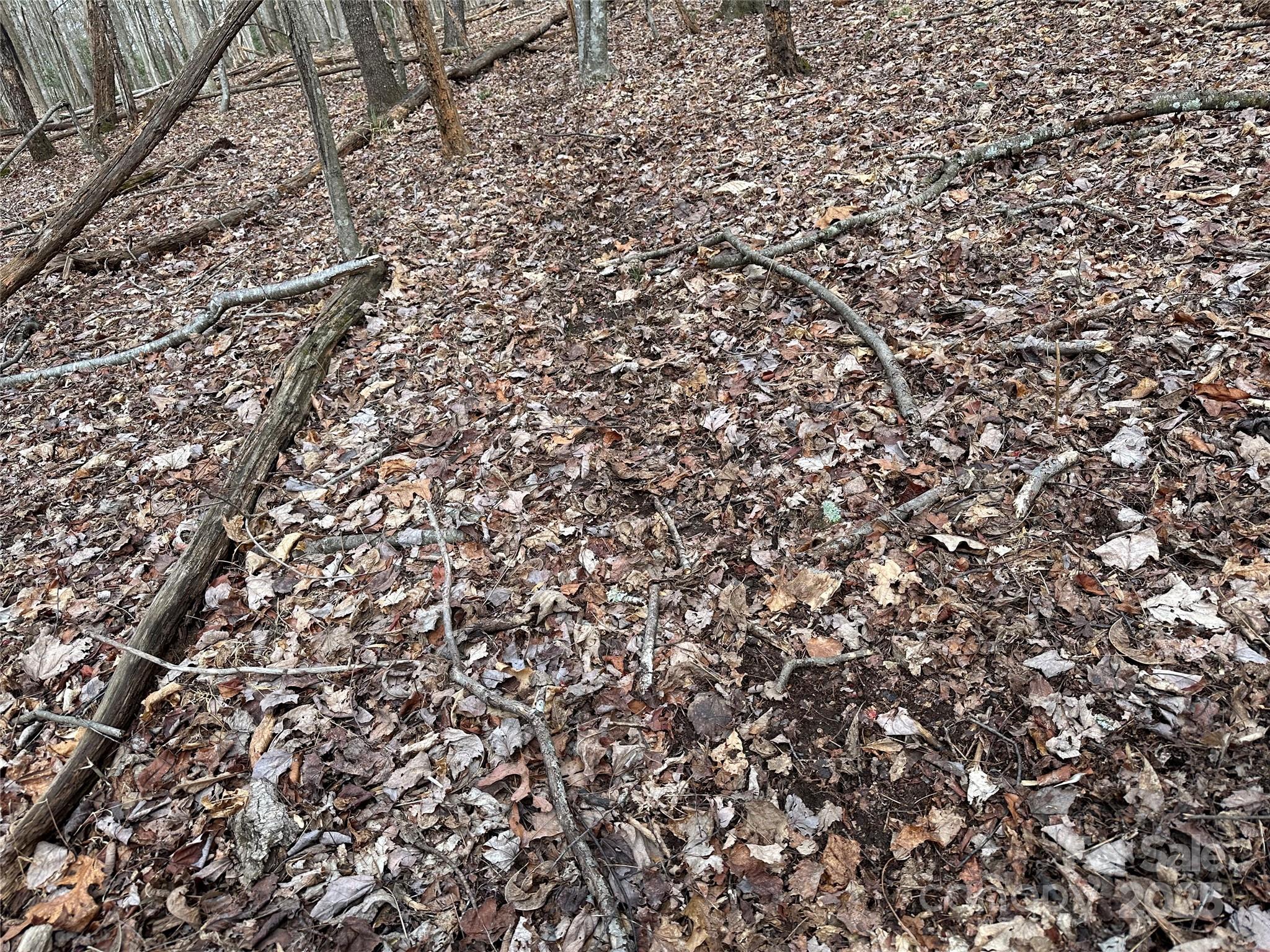 0 Austin Traphill Road, Unit B Elkin, NC 28621 - Photo 17 of 17