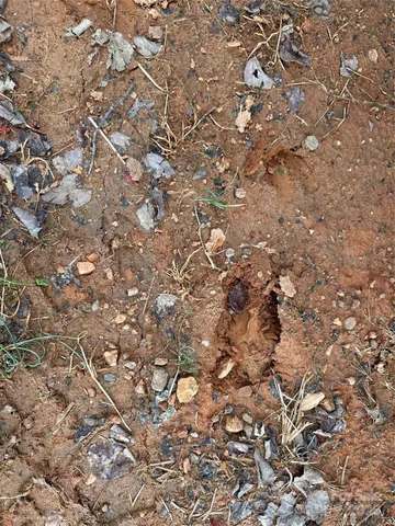 a view of wooden fence with trees