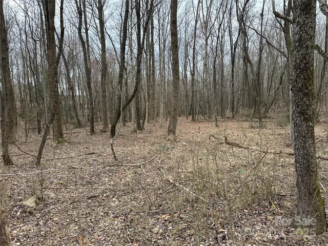 a view of an outdoor space and yard