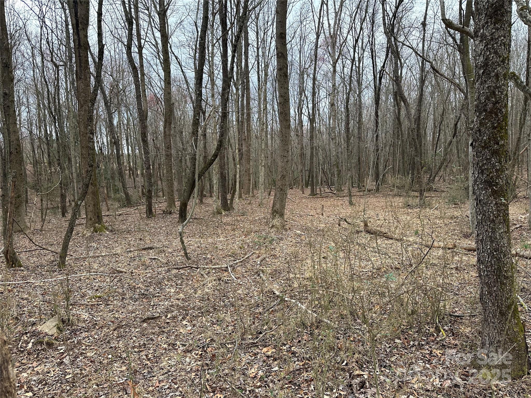 0 Austin Traphill Road, Unit B Elkin, NC 28621 - Photo 8 of 17