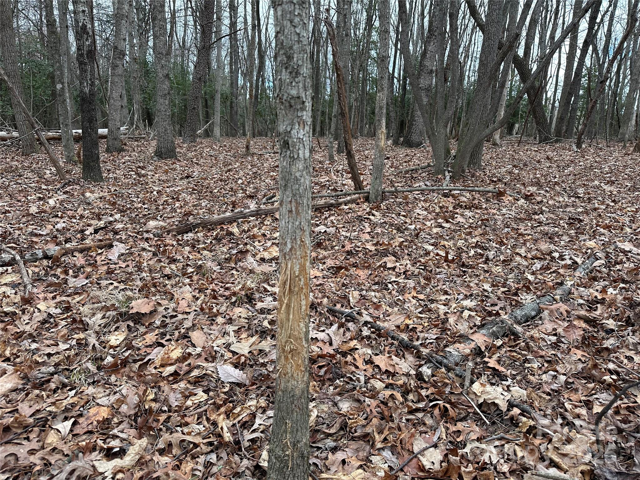 0 Austin Traphill Road, Unit B Elkin, NC 28621 - Photo 9 of 17