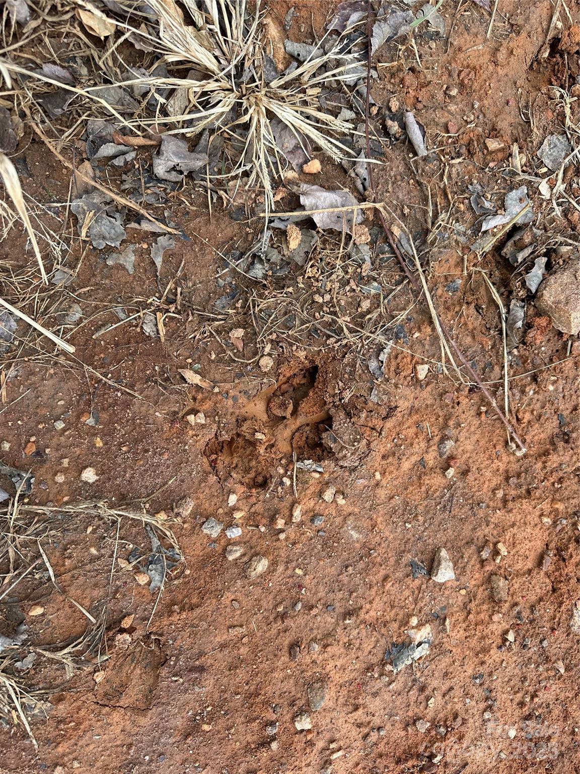 0 Austin Traphill Road, Unit B Elkin, NC 28621 - Photo 10 of 17