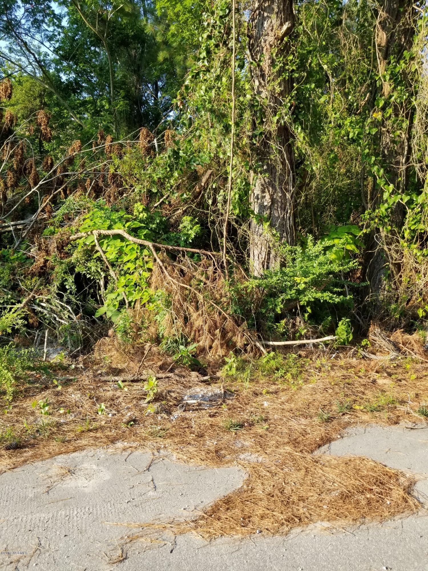 124 Avery Road Hubert, NC 28539 - Photo 2 of 2 front where shed is caved in by large tr