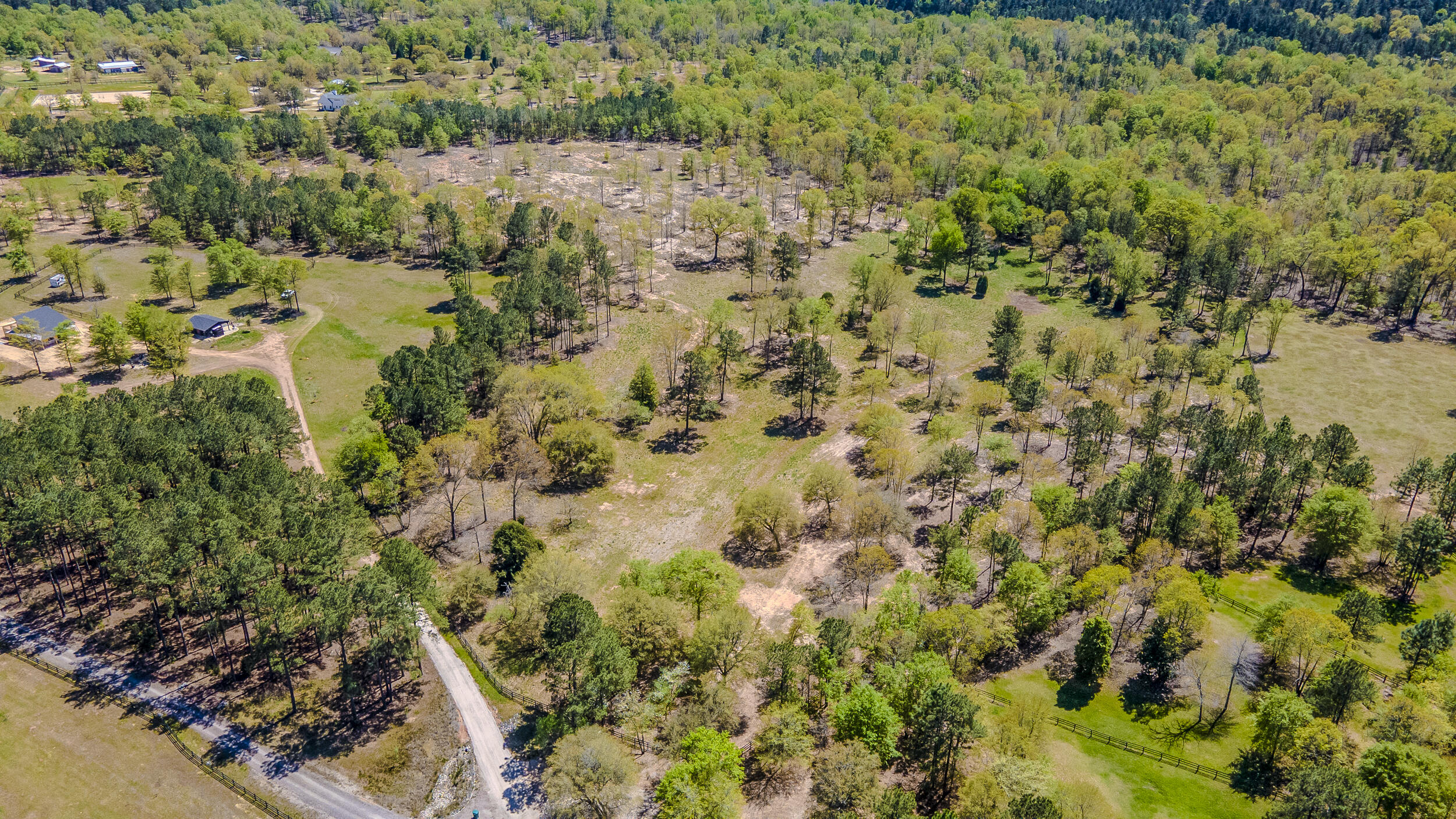 0 Implement Road Aiken, SC 29803 - Photo 11 of 38 a view of a yard with a tree