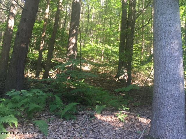 Cherry Hollow Road Millville, PA 17846 - Photo 2 of 7
