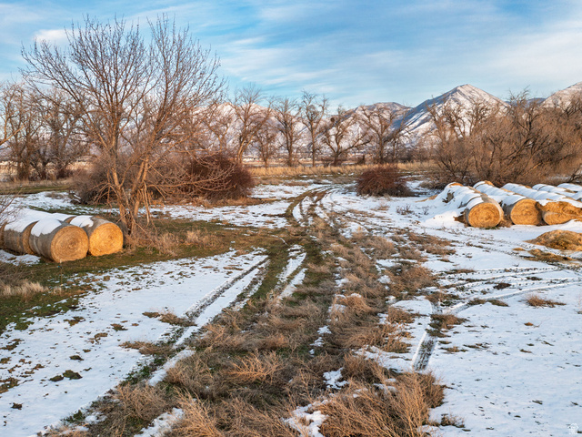 1289 North Bamberger Road Payson, UT 84651 - Photo 10 of 18 Yard layered in snow with a mountain view