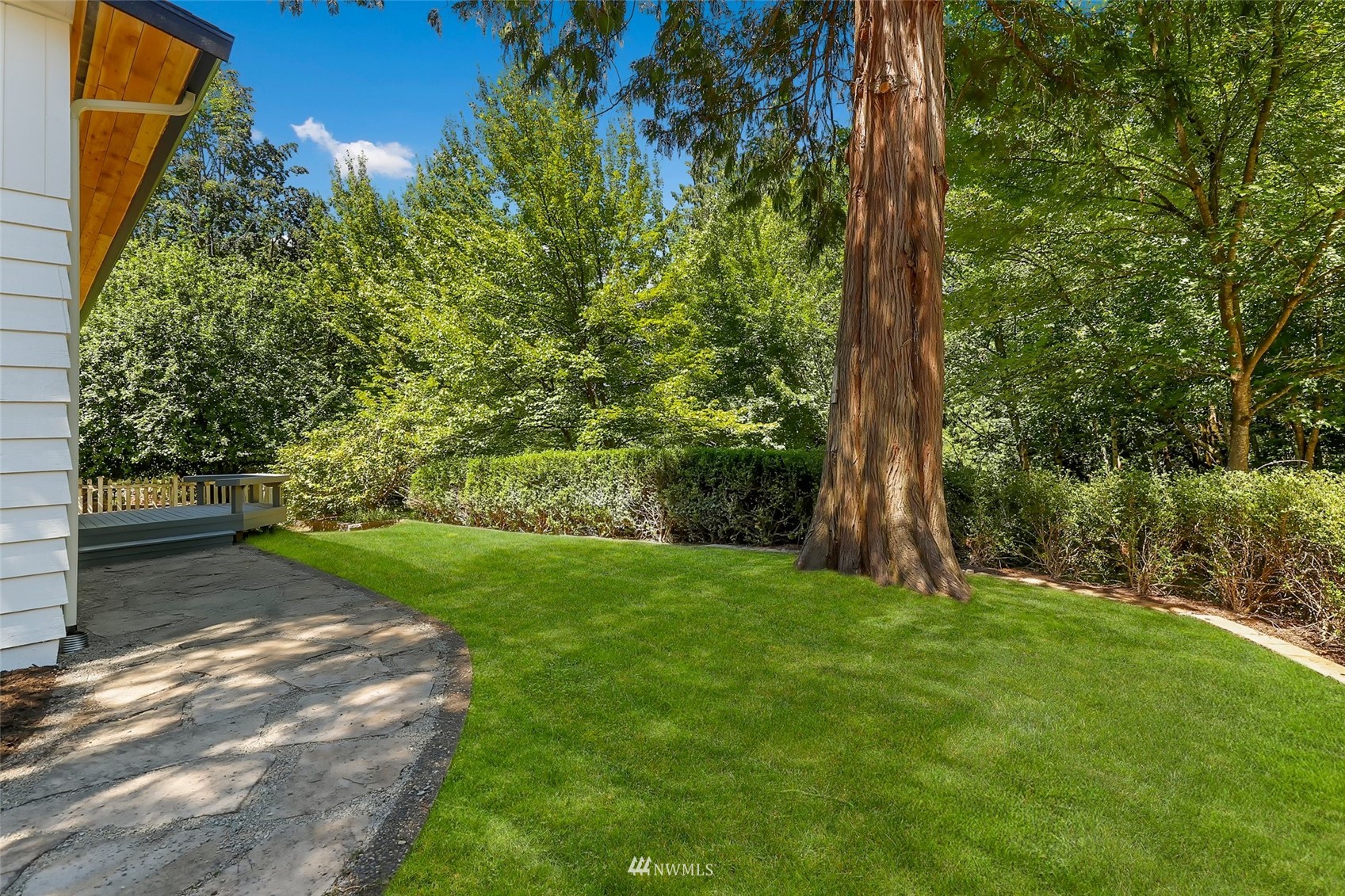 23314 25th Drive Southeast Bothell, WA 98021 - Photo 36 of 40 a view of a yard with plants and a tree