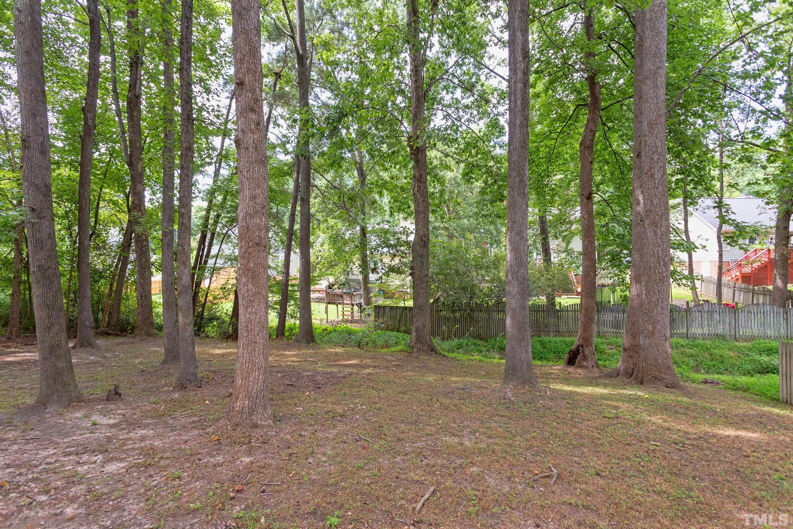 206 Eagle Tavern Drive Garner, NC 27529 - Photo 37 of 41 a view of a forest with trees in the background