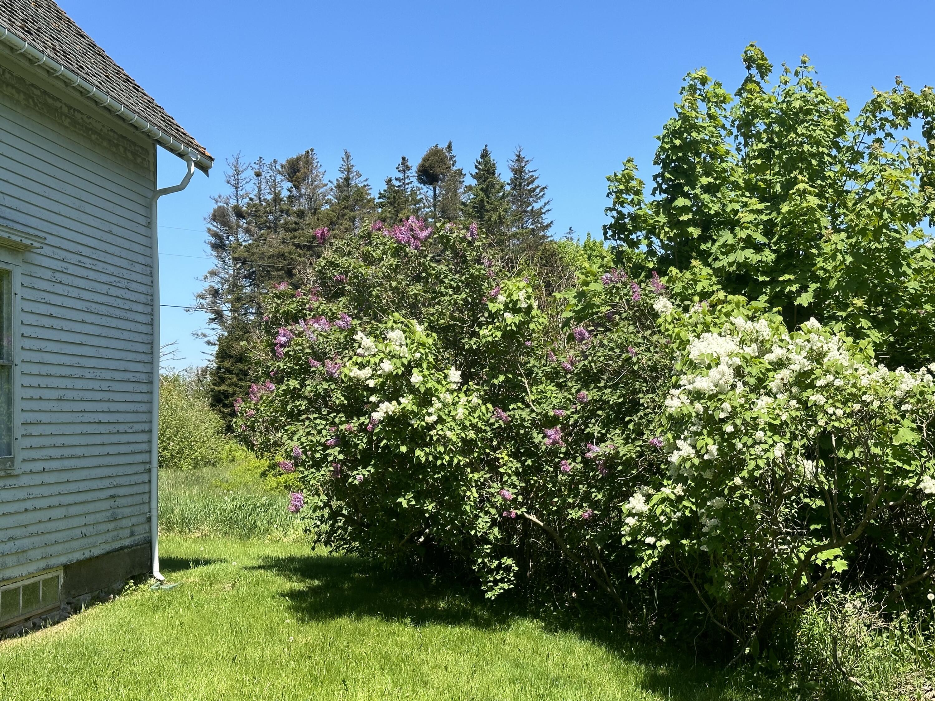 87 North Road Matinicus, ME 04851 - Photo 6 of 30 IMG_1376