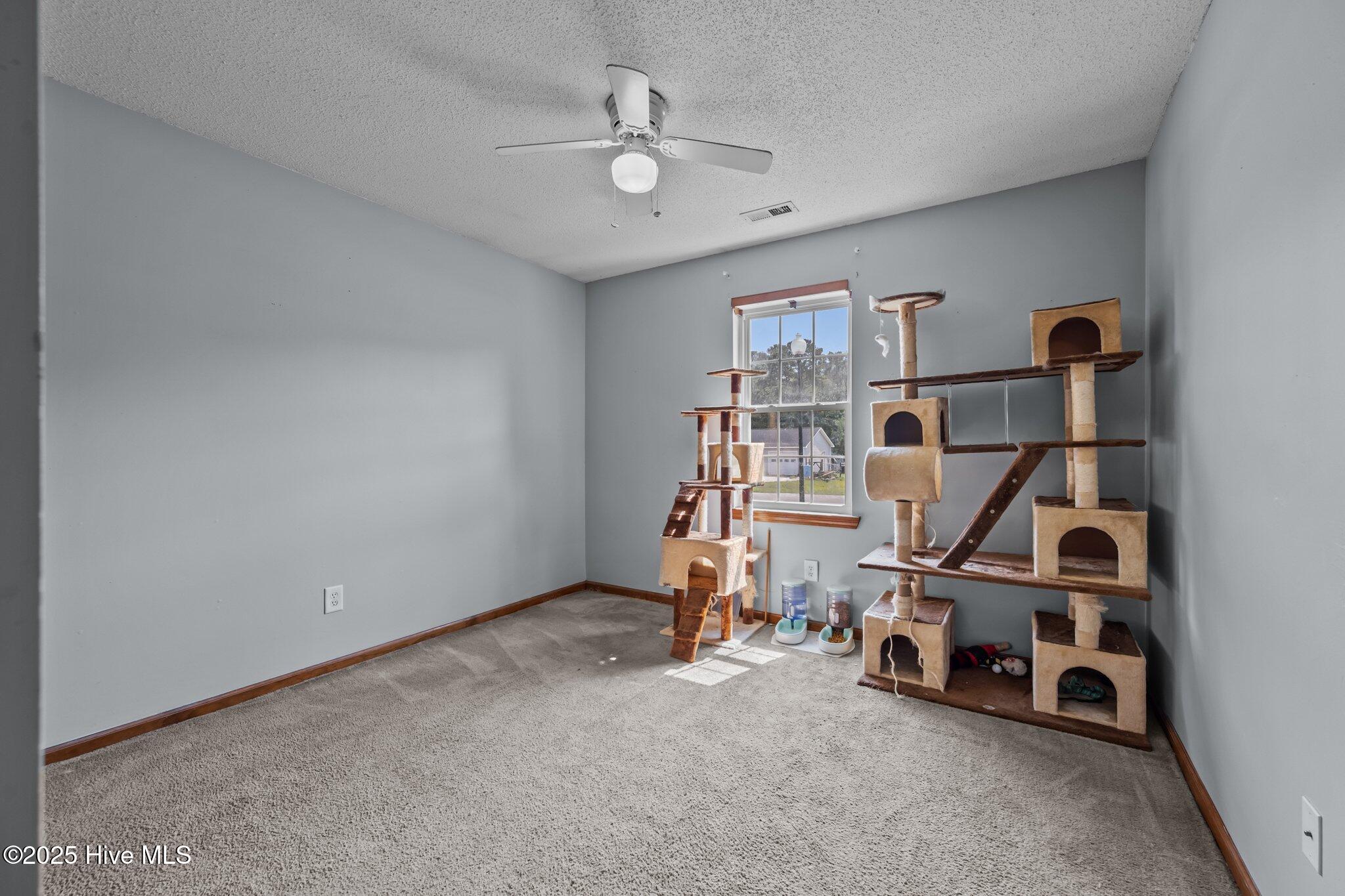 105 Linden Road Richlands, NC 28574 - Photo 19 of 36 24-web-or-mls-_RAD7661